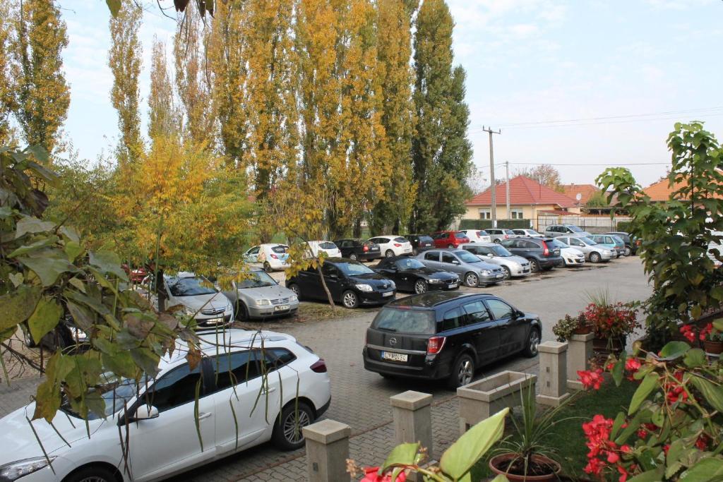 Bajor Panzio Bed and Breakfast Kecskemét Eksteriør billede